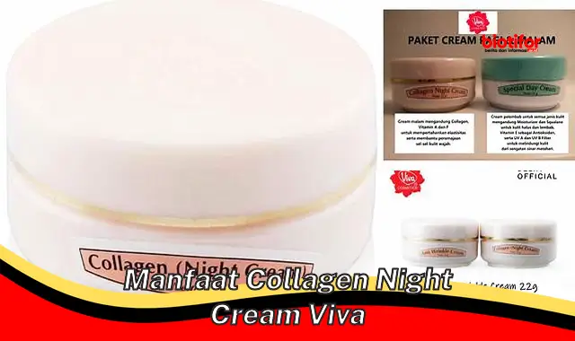 manfaat collagen night cream viva