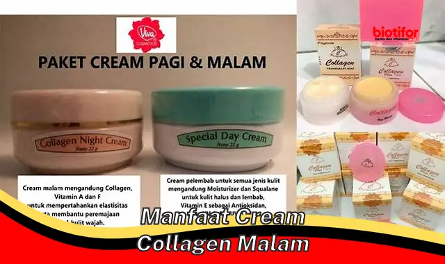 manfaat cream collagen malam