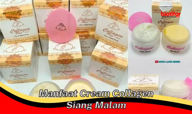 manfaat cream collagen siang malam