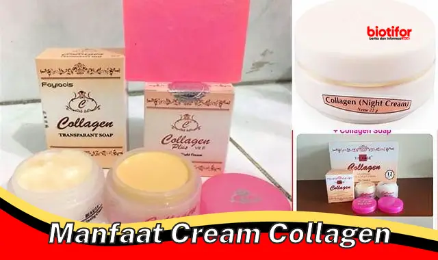 manfaat cream collagen