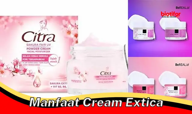 Temukan 5 Manfaat Cream Extica yang Jarang Diketahui!