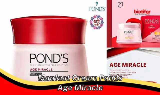 manfaat cream ponds age miracle