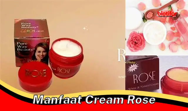 manfaat cream rose