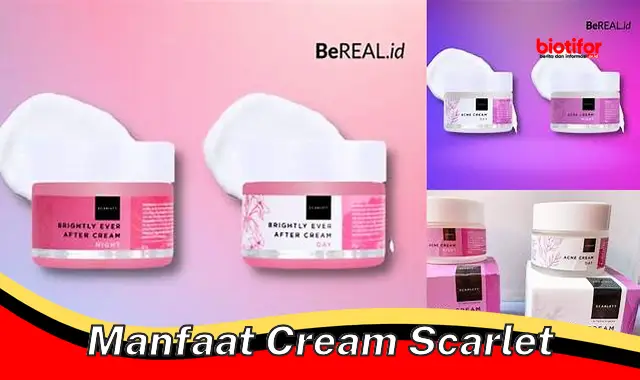 manfaat cream scarlet