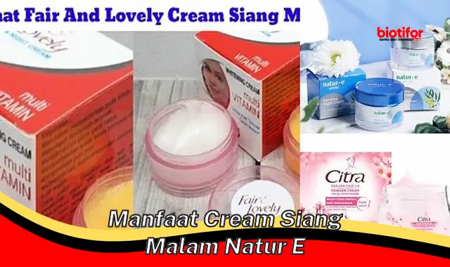 manfaat cream siang malam natur e