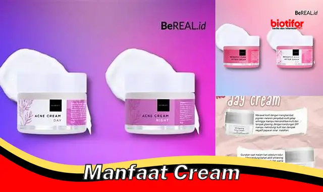 manfaat cream