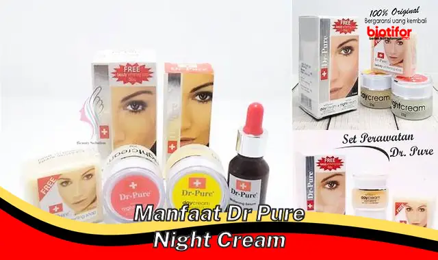 manfaat dr pure night cream