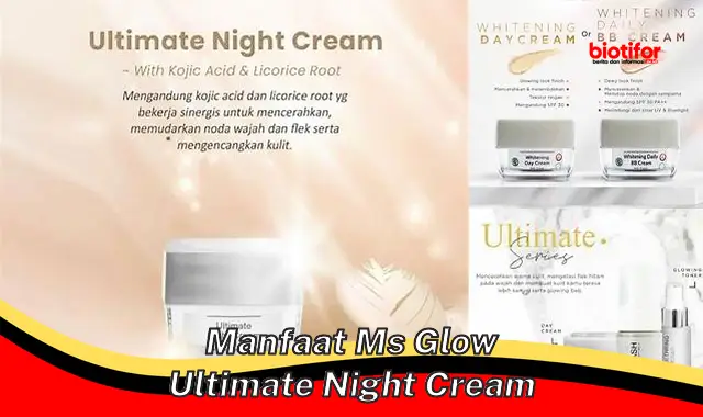 manfaat ms glow ultimate night cream