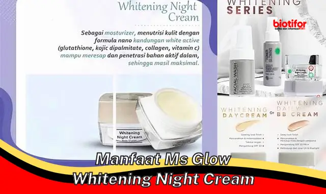 manfaat ms glow whitening night cream