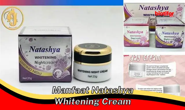 Temukan Rahasia Terpendan Manfaat Natashya Whitening Cream