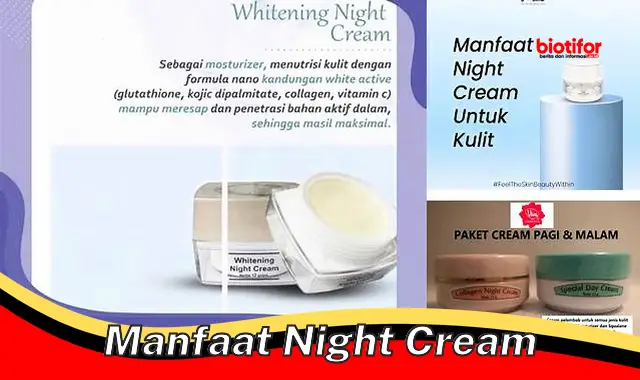 manfaat night cream
