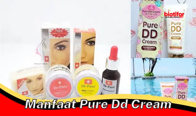 manfaat pure dd cream