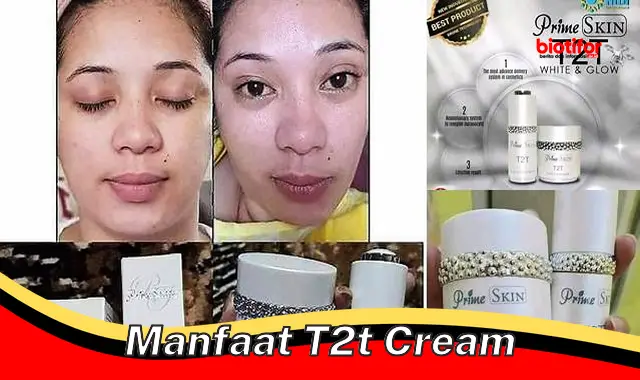 manfaat t2t cream