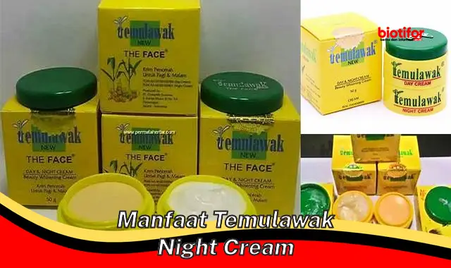 manfaat temulawak night cream