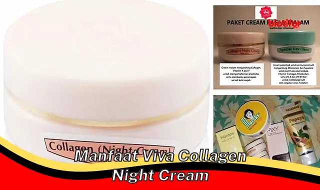 Temukan Manfaat Viva Collagen Night Cream yang Jarang Diketahui