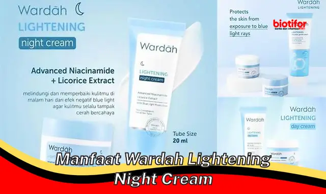 manfaat wardah lightening night cream