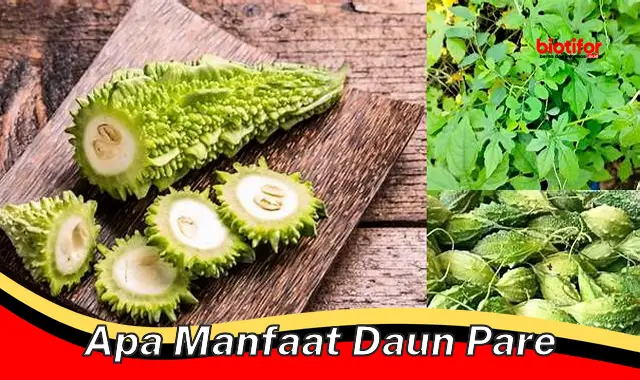 apa manfaat daun pare