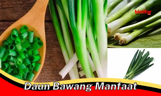 daun bawang manfaat