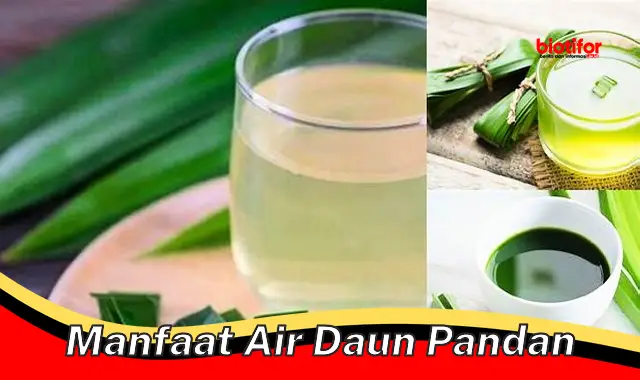 manfaat air daun pandan