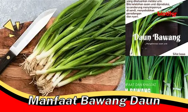 manfaat bawang daun