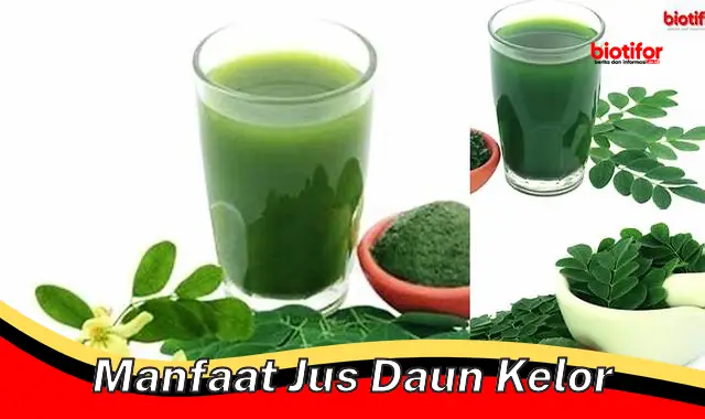 manfaat jus daun kelor