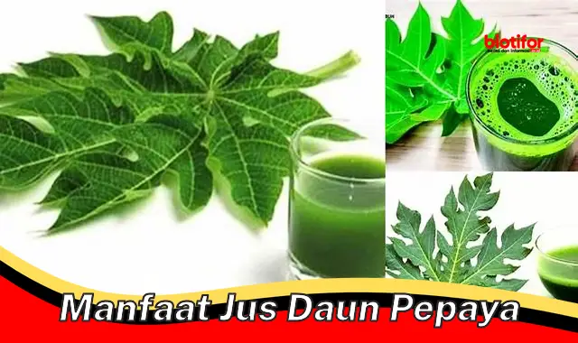 manfaat jus daun pepaya