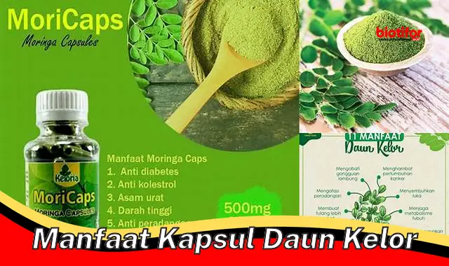 manfaat kapsul daun kelor