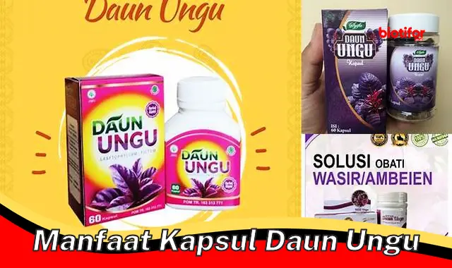 manfaat kapsul daun ungu