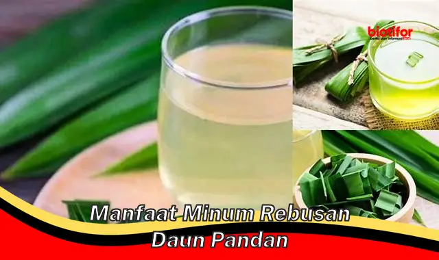 manfaat minum rebusan daun pandan