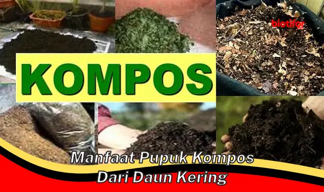 manfaat pupuk kompos dari daun kering