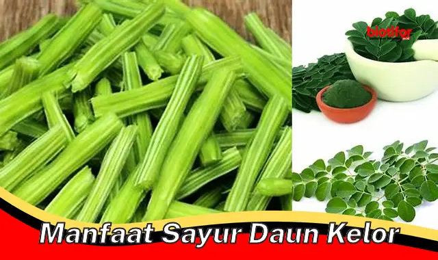 manfaat sayur daun kelor