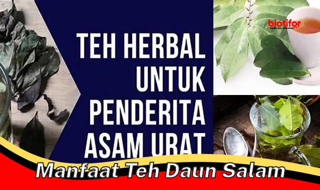 manfaat teh daun salam