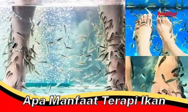 apa manfaat terapi ikan