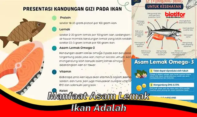 manfaat asam lemak ikan adalah