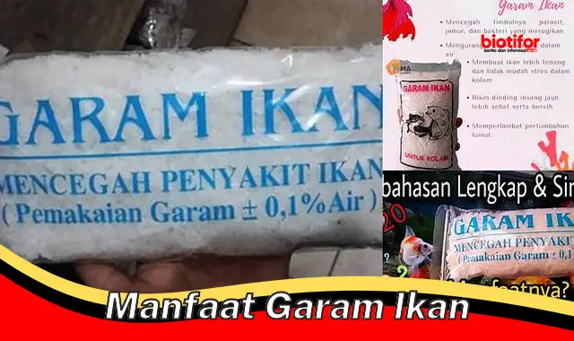 manfaat garam ikan