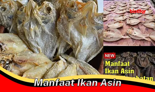 manfaat ikan asin