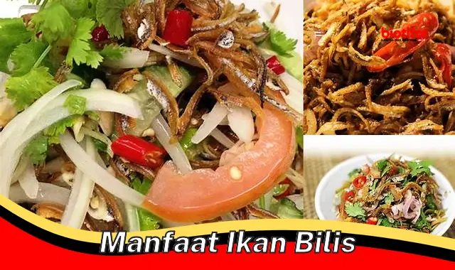 manfaat ikan bilis