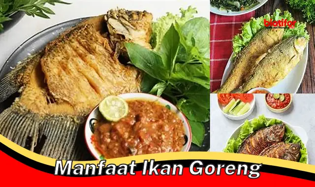 manfaat ikan goreng