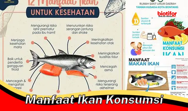 manfaat ikan konsumsi