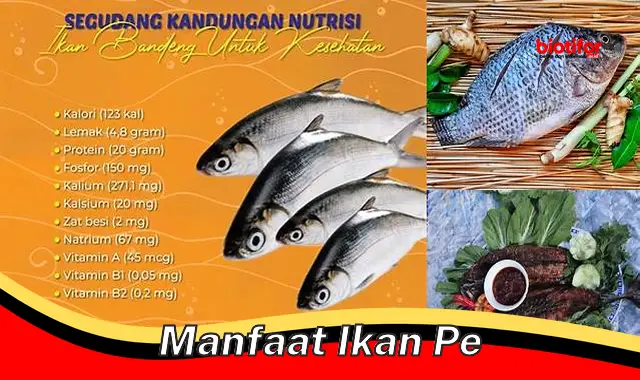 manfaat ikan pe