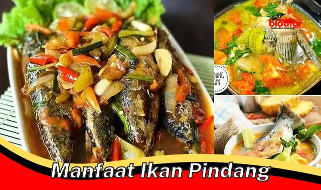 manfaat ikan pindang