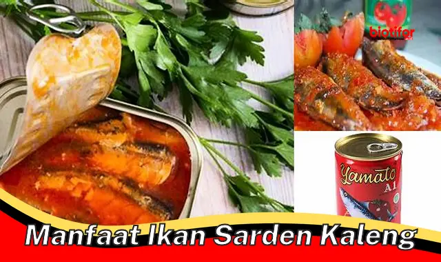 manfaat ikan sarden kaleng