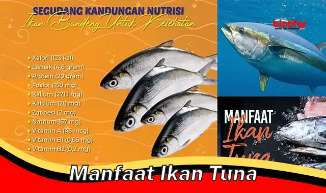 manfaat ikan tuna