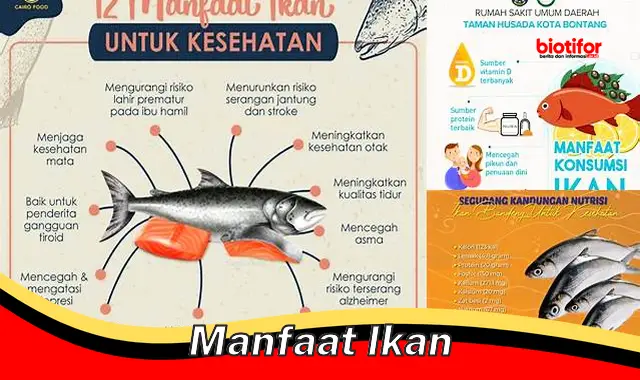 manfaat ikan