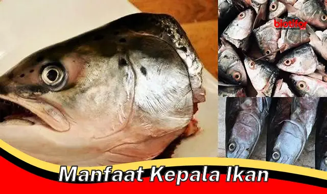 manfaat kepala ikan