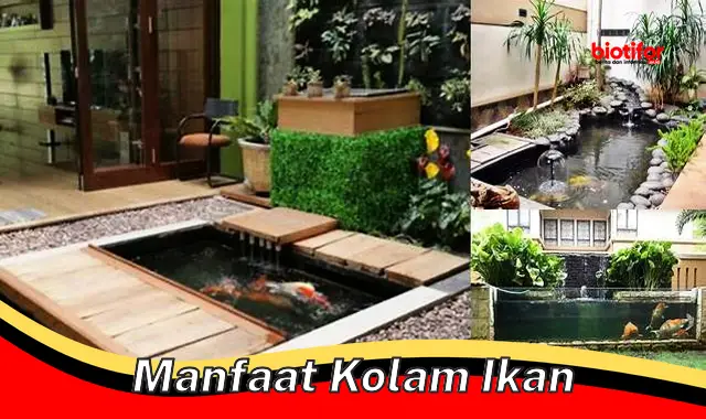 manfaat kolam ikan