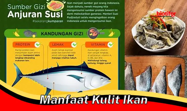 manfaat kulit ikan