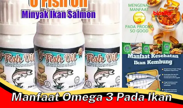 manfaat omega 3 pada ikan