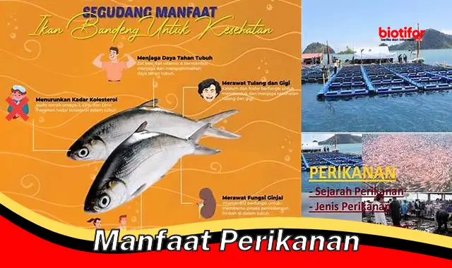 manfaat perikanan