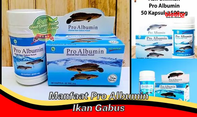 Temukan Manfaat Pro Albumin Ikan Gabus yang Jarang Diketahui